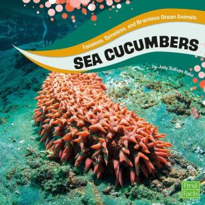 Sea Cucumbers, Jody Rake