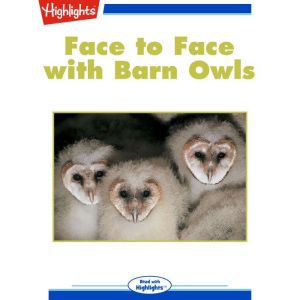 Face to Face with Barn Owls, Chris Dietel