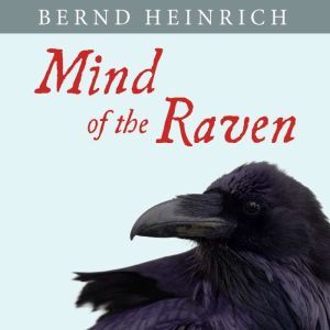 Mind of the Raven, Bernd Heinrich
