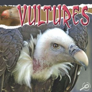 Vultures, Julie Lundgren