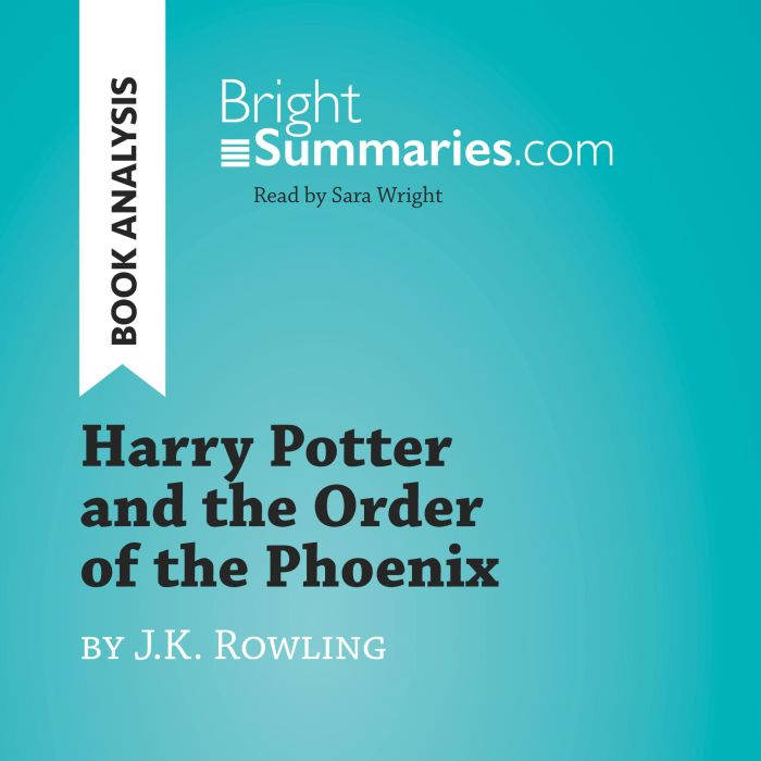 Harry Potter and the Order of the Pho..., Bright Summaries