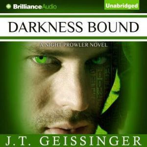 Darkness Bound, J. T. Geissinger