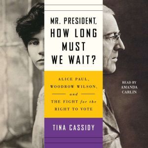 Mr. President, How Long Must We Wait?..., Tina Cassidy