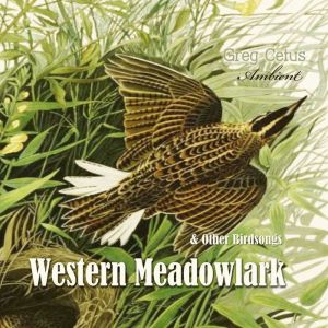 Western Meadowlark and Other Bird Son..., Greg Cetus