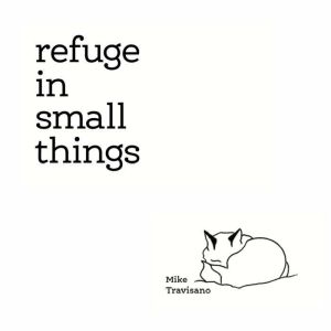 Refuge in Small Things, Mike Travisano