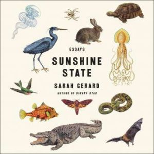 Sunshine State: Essays, Sarah Gerard