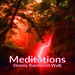 Meditations  Stormy Rainforest Walk, Ashby Navis  Tennyson Media Publisher