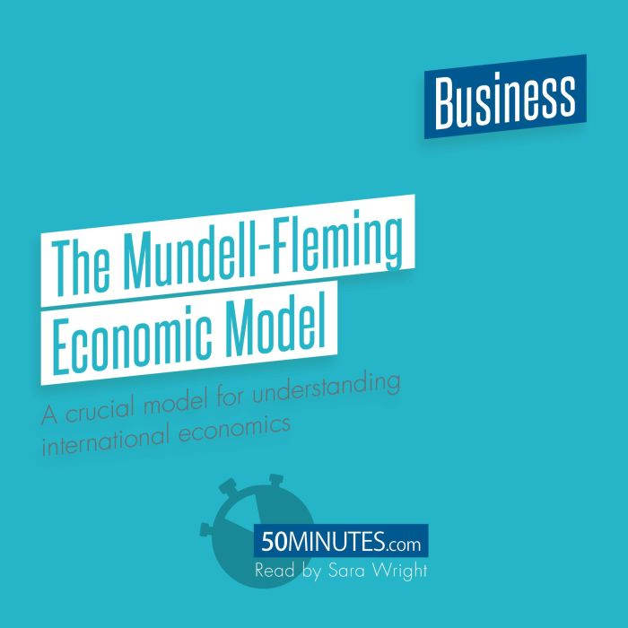 The MundellFleming Economic Model, 50minutes