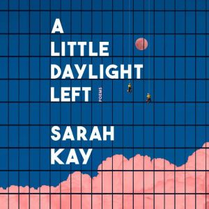 A Little Daylight Left: Poems