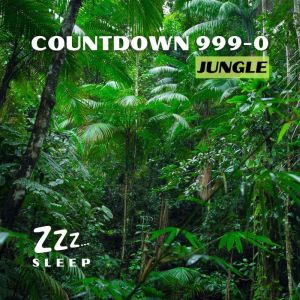 Countdown 999-0: Jungle