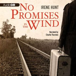 No Promises in the Wind, Irene Hunt