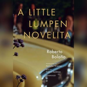 A Little Lumpen Novelita, Roberto Bolano