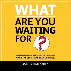 What Are You Waiting For, Dan Chamandy