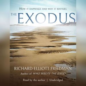 The Exodus, Richard Elliott Friedman