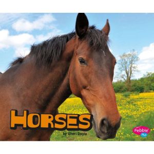Horses, Sheri Doyle