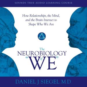 Neurobiology of We, The: How Relationships, the Mind, and the Brain Interact to Shape Who We Are
