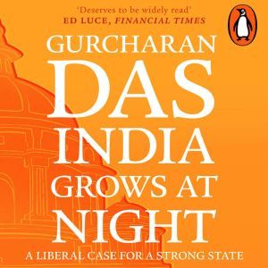 India Grows At Night, Gurcharan Das