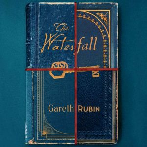 The Waterfall: A beguiling and intricate mystery from Sunday Times bestselling author Gareth Rubin