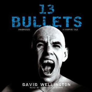 13 Bullets, David Wellington