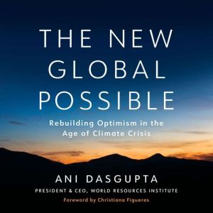 The New Global Possible, Ani Dasgupta