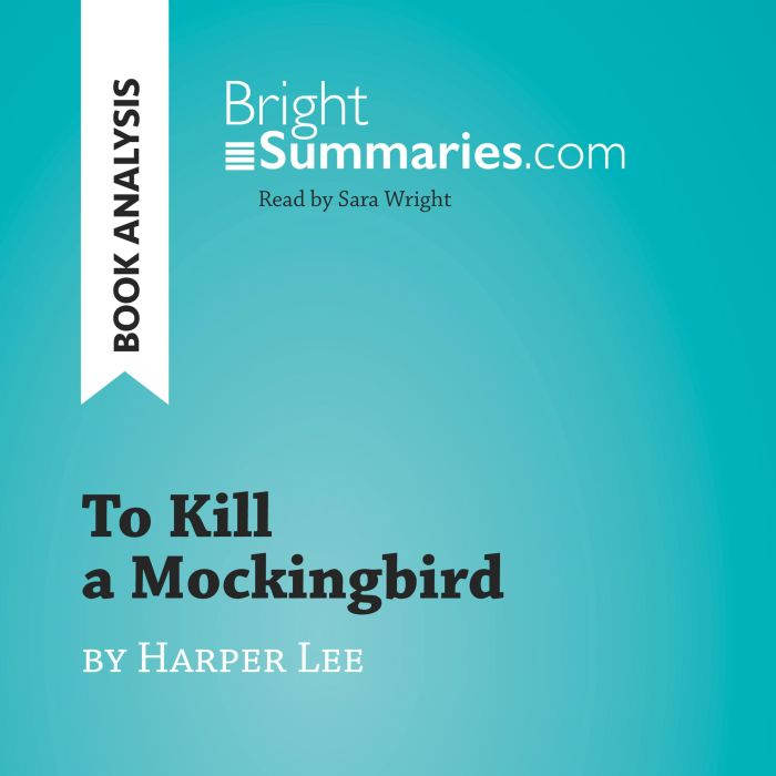 To Kill a Mockingbird by Harper Lee ..., Bright Summaries