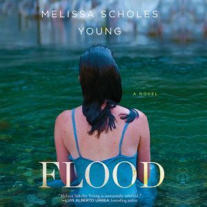 Flood, Melissa Scholes Young
