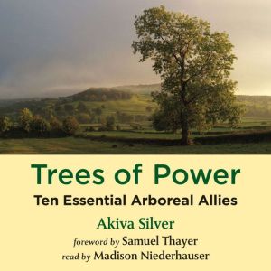 Trees of Power, Akiva Silver