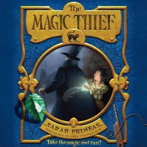 The Magic Thief, Sarah Prineas