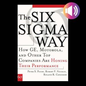 The Six Sigma Way How GE, Motorola, ..., Roland R. Cavanagh