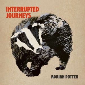 Interrupted Journeys: Badgers and Other Roadside Distractions