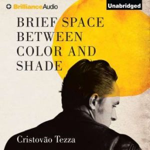 Brief Space Between Color and Shade, Cristovao Tezza