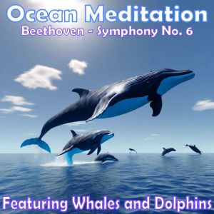Ocean Meditation - Beethoven Symphony No. 6: Featuring Whales and Dolphins