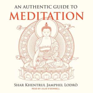 An Authentic Guide to Meditation, Shar Khentrul Jamphel Lodro