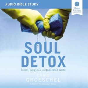 Soul Detox Audio Bible Studies, Craig Groeschel