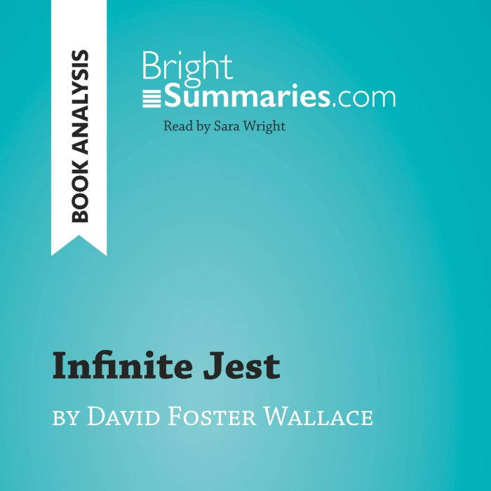 Infinite Jest by David Foster Wallace..., Bright Summaries