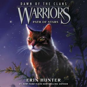 Warriors Dawn of the Clans 6 Path ..., Erin Hunter