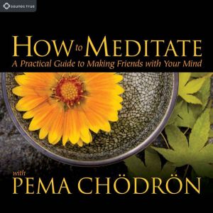 How to Meditate with Pema Ch¶dr¶n: A Practical Guide to Making Friends with Your Mind
