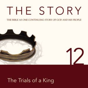 The Story Audio Bible  New Internati..., Zondervan