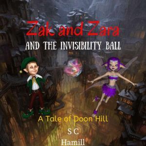 Zak and Zara and the Invisibility Bal..., S C Hamill