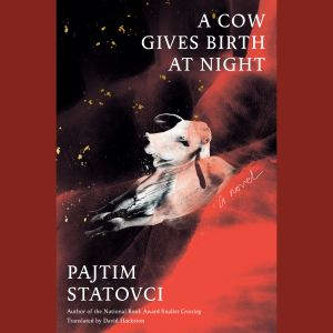 A Cow Gives Birth at Night, Pajtim Statovci