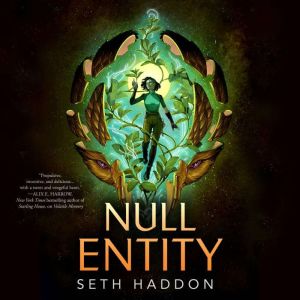 Null Entity, Seth Haddon
