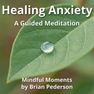 Healing Anxiety A Guided Meditation, Loula Love