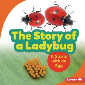 The Story of a Ladybug, Lisa Owings
