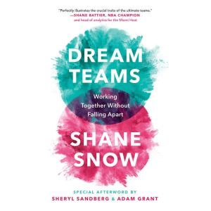 Dream Teams, Shane Snow