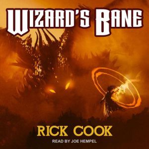 Wizards Bane, Rick Cook