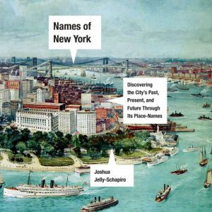 Names of New York, Joshua JellySchapiro