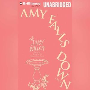 Amy Falls Down, Jincy Willett