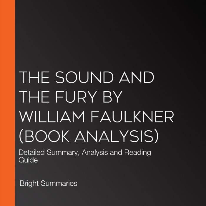 The Sound and the Fury by William Fau..., Bright Summaries