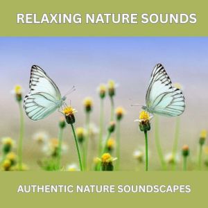 Relaxing Nature Sounds  Over 10 Hours of Pure Natural Ambience (Without Music): Authentic Nature Soundscapes for Deep Relaxati