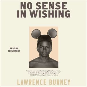No Sense in Wishing: Essays
